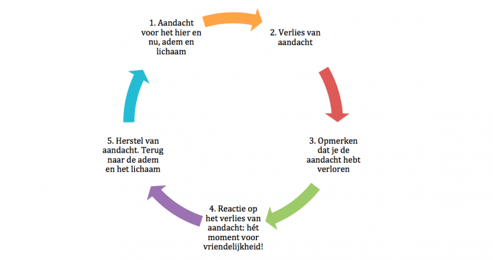 De Mindfulness Cyclus En De Stress Cyclus – Academie Voor Openbewustzijn