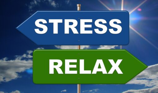Wat is stress?