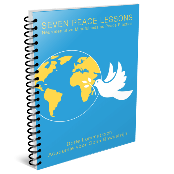 E-book Seven peace lessons