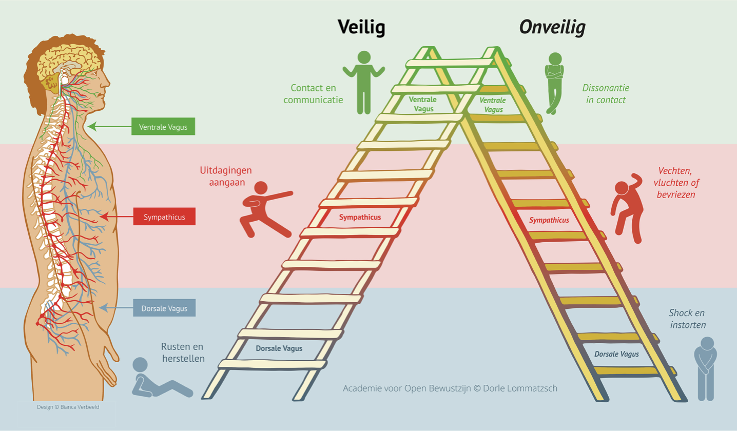 Je bekijkt nu Je innerlijke criticus ‘te lijf’ met de Polyvagaaltheorie, introductie 9 december