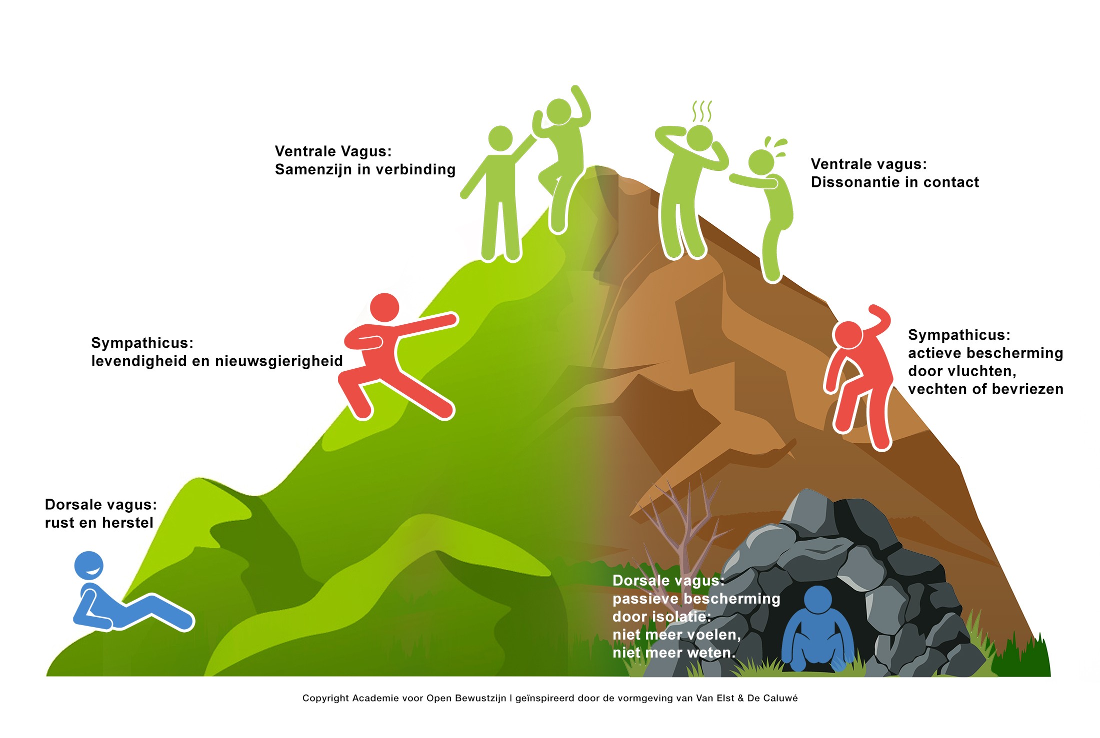 You are currently viewing De Polyvagaaltheorie en emoties